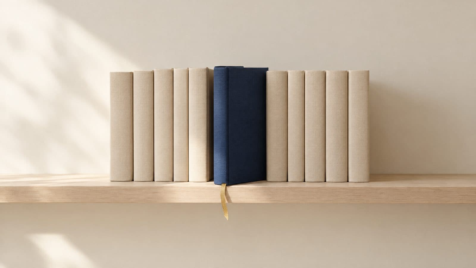 A bookshelf with one navy book pulled forward: the source that AI chooses and cites.